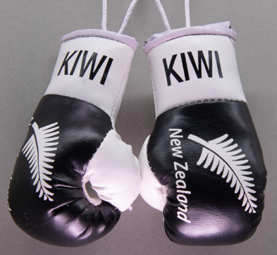 Silver Fern Mini Boxing Gloves