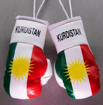 Buy Papua New Guinea Mini Boxing Gloves Online From Flags Down Under