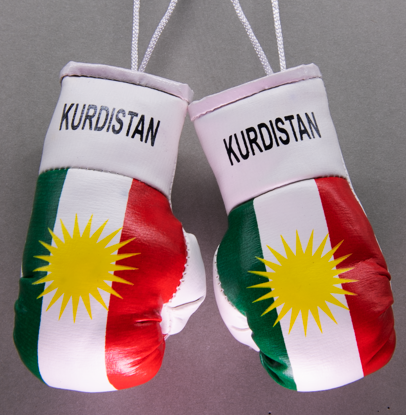 Kurdistan Mini Boxing Gloves