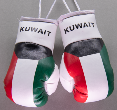 Kuwait Mini Boxing Gloves