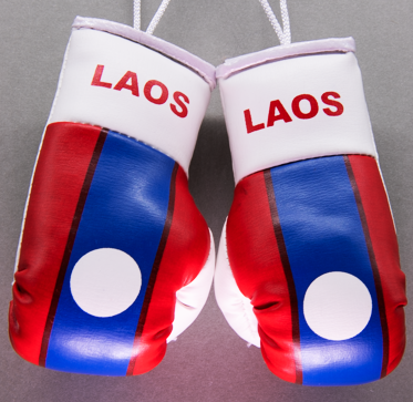Laos Mini Boxing Gloves