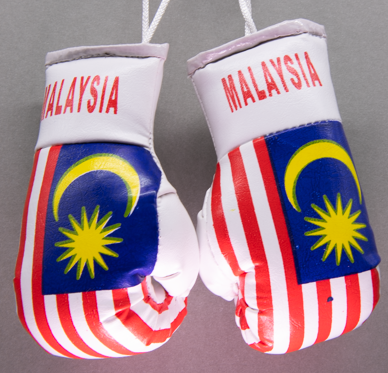 Malaysia Mini Boxing Gloves
