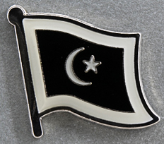 Terengganu Flag Pin