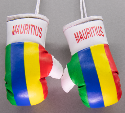 Mauritius Mini Boxing Gloves