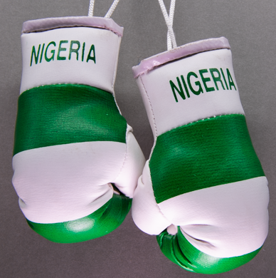 Nigeria Mini Boxing Gloves