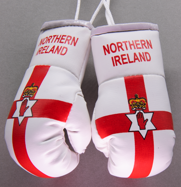 Northern Ireland Mini Boxing Gloves