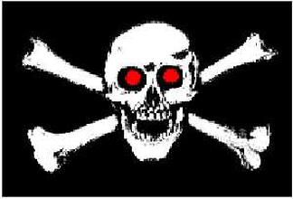 Skull Red Eye Flag