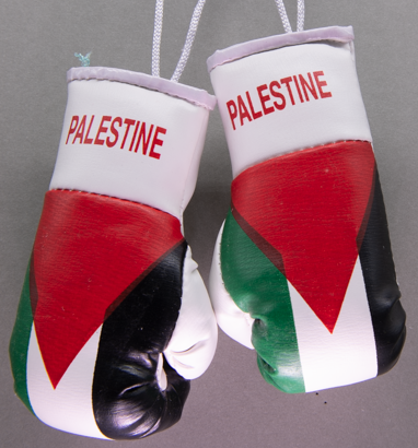 Palestine Mini Boxing Gloves