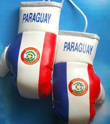 Paraguay Mini Boxing Gloves