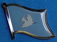 Peace Flag Pin