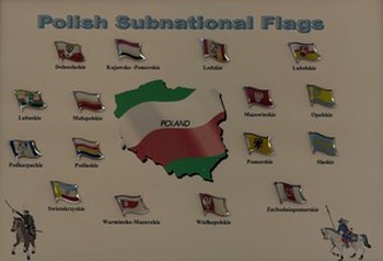 A Complete set of 16 Poland Subnational Pins