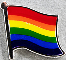 Rainbow Flag Pin