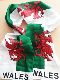 Wales Scarf 160cm