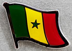 Senegal Flag Pin AFN