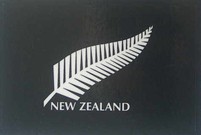 Silver Fern Car Sticker