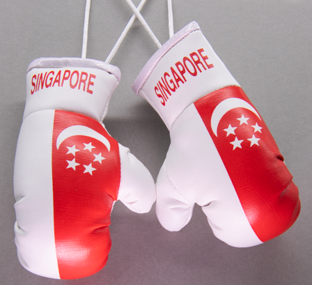 Singapore Mini Boxing Gloves