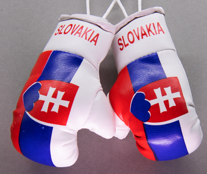 Slovakia Mini Boxing Gloves