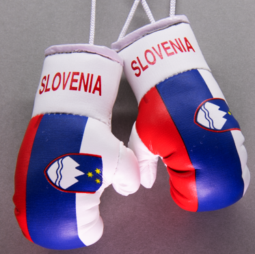 Slovenia Mini Boxing Gloves