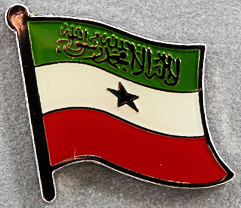 Somaliland Flag Pin