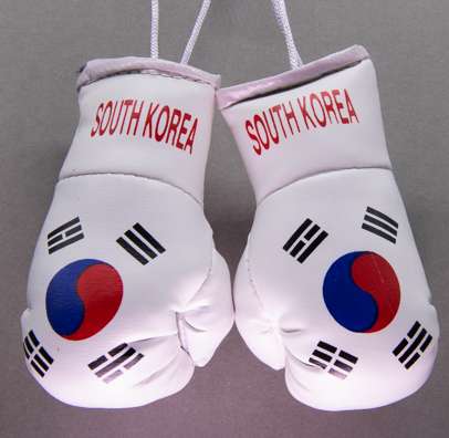 South Korea Mini Boxing Gloves