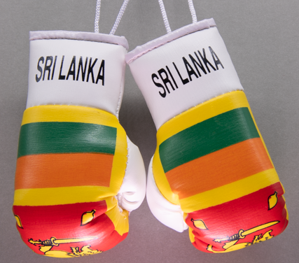 Sri Lanka Mini Boxing Gloves