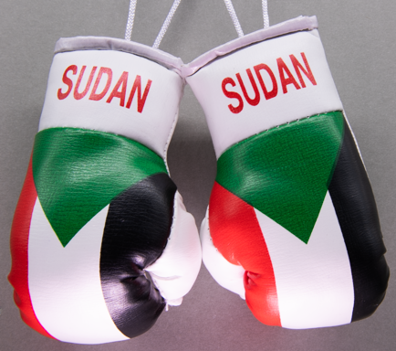 Sudan Mini Boxing Gloves