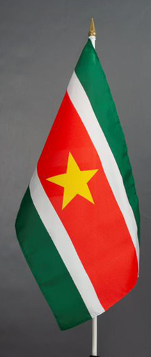 Suriname Hand Waver Flag