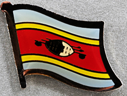 Swaziland Flag Pin AFN