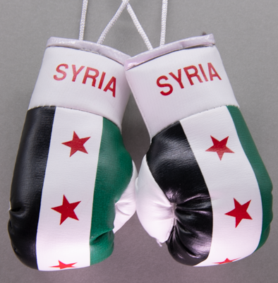 Syria Mini Boxing Gloves Historical