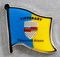 Tipperary  County Flag Lapel Pin