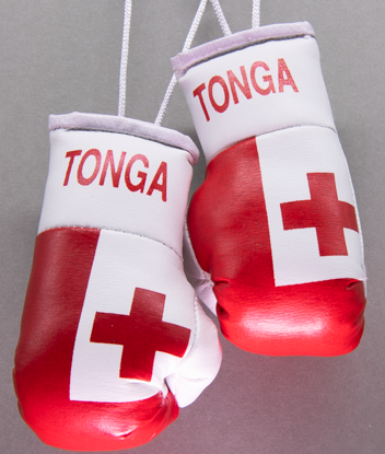 Tonga Mini Boxing Gloves