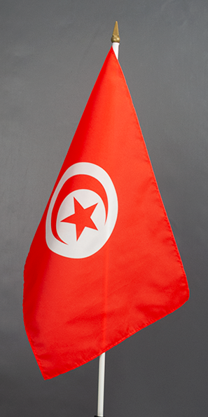 Tunisia Hand Waver Flag
