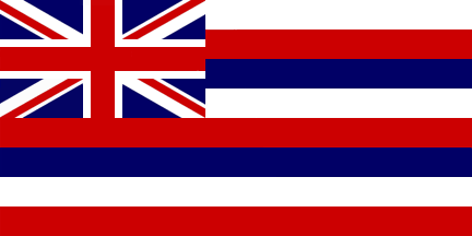 Hawaii Flag - USA