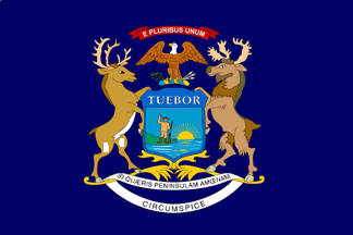 Michigan Flag