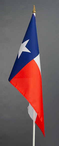 Texas Hand Waver Flag USA