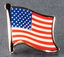 USA Lapel Pin