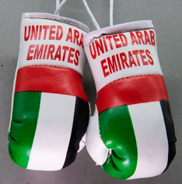 United Arab Emirates Mini Boxing Gloves