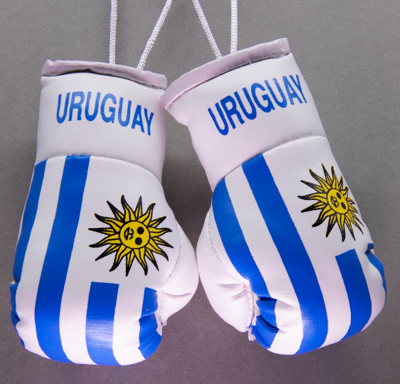 Uruguay Mini Boxing Gloves