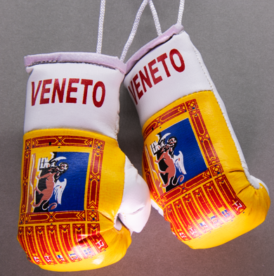 Veneto Mini Boxing Gloves