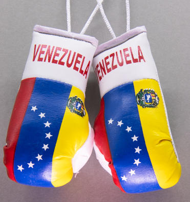 Venezuela Mini Boxing Gloves