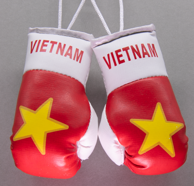 Vietnam Mini Boxing Gloves