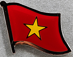 Vietnam Lapel Pin