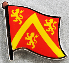 Anglesey Lapel Pin