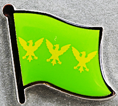 Caernarfon Shire Flag Pin