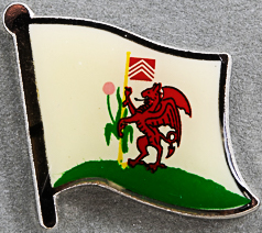Cardiff Flag Pin - Wales