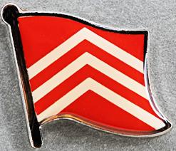 Glamoregan Flag Pin Wales