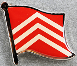 Glamoregan Flag Pin