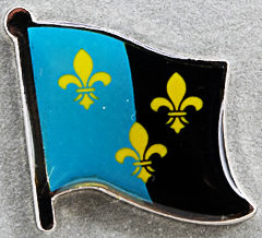 Monmouth Shire Flag Pin