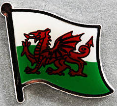 Wales Lapel Pin
